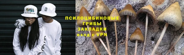мяу мяу мука Балахна